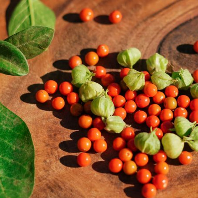 アシュワガンダ